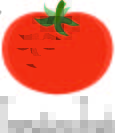 Tomatoes Trash